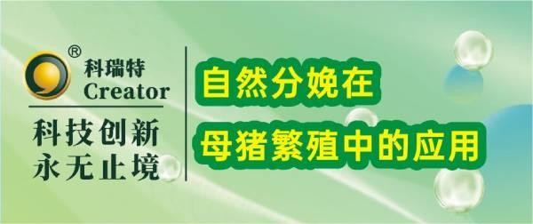 養(yǎng)殖技術(shù) | 自然分娩在母豬繁殖中的應(yīng)用